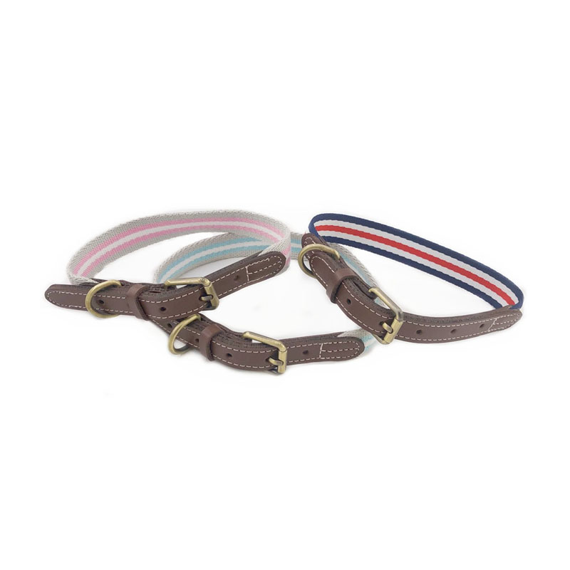 PU Leather Novifacta Canis Collarem