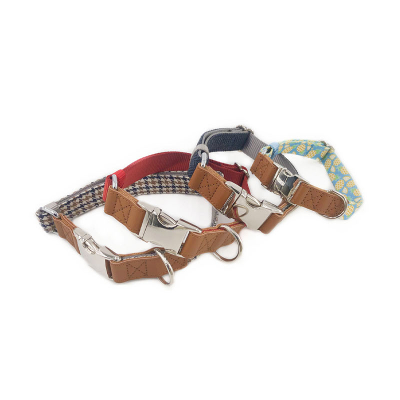 Gravis Officium Dog Collars cum Novifacta Rubigo-Probatur Metal Pin Fibula
