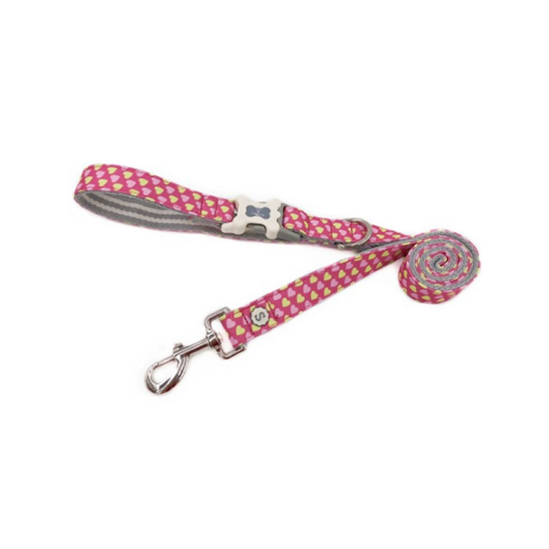 Typographia Nylon Dog Obedientia Revocare Agilitas Training Plumbum