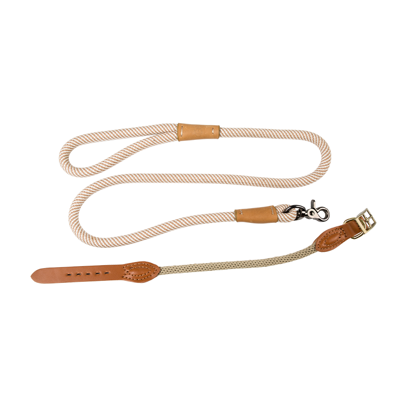 Maxime Durable Dog Rope Leash, Premium Quality Training Slip Plumbum