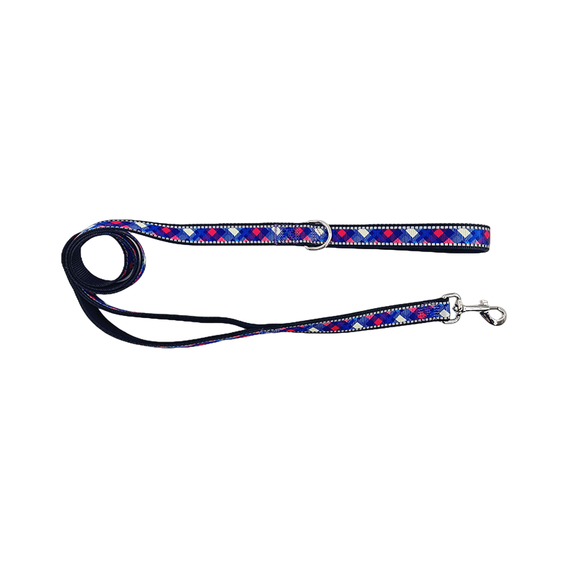 Canem Reflective Leads Fortis Padded palpate ad ambulandum Cursor