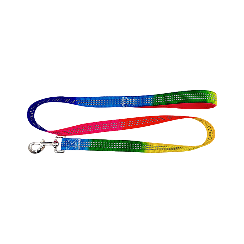 D Ring Dog Slip Leash Kennel Nylon Rope